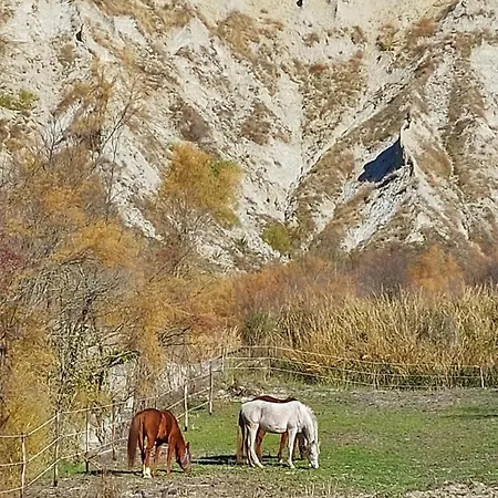 Di Paola E Luca 3*