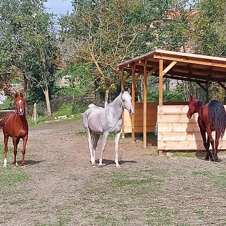Di Paola E Luca * Borgo Tossignano