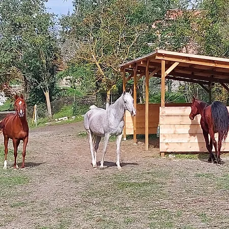 Frühstückspension Di Paola E Luca Borgo Tossignano